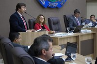 Ademir Debortoli quer alterar lei para regularizar venda de lenha