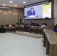 Câmara Mirim realiza 6ª sessão para apreciação de Indicações