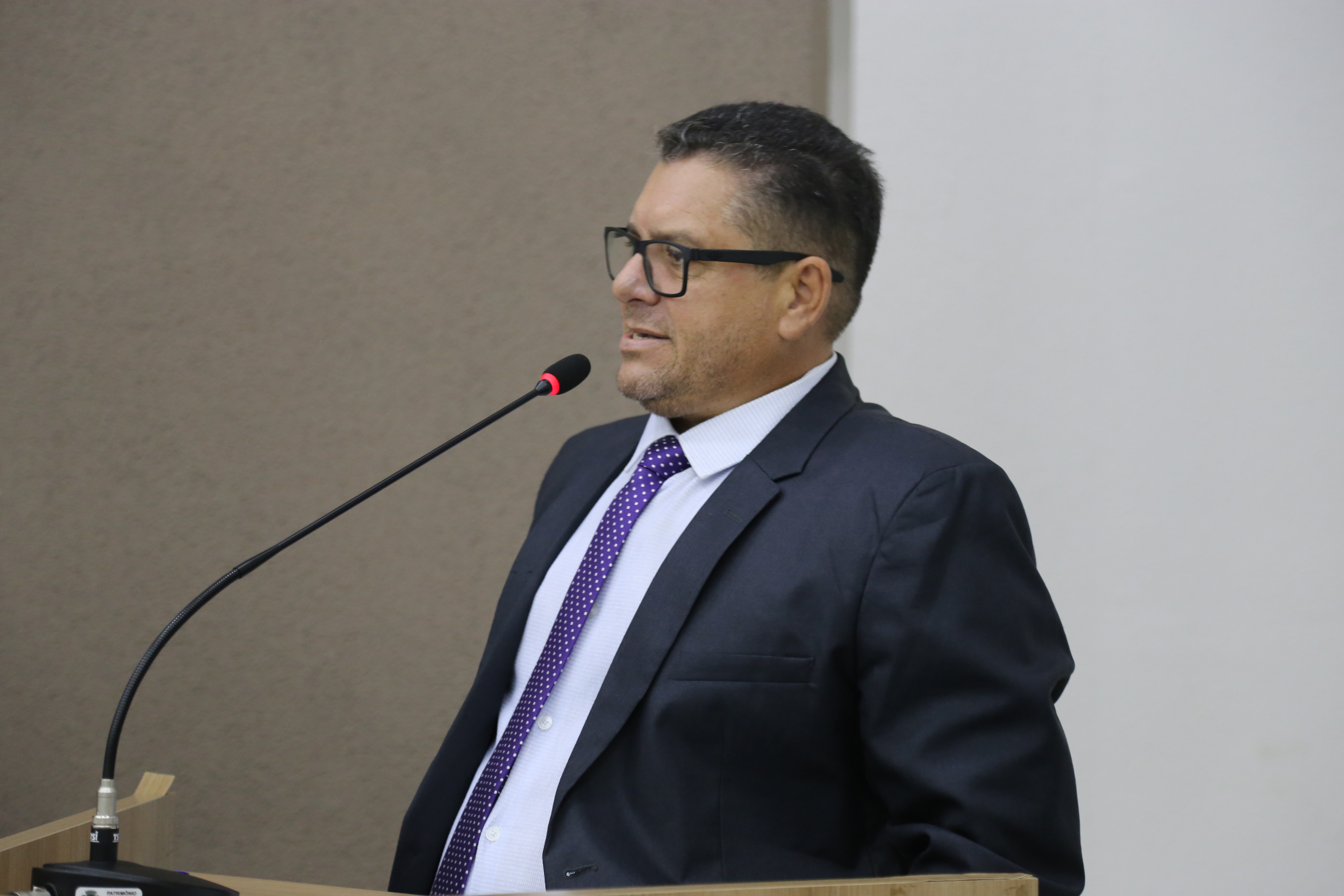 Toninho solicita a remoção de árvores secas ou condenadas do município